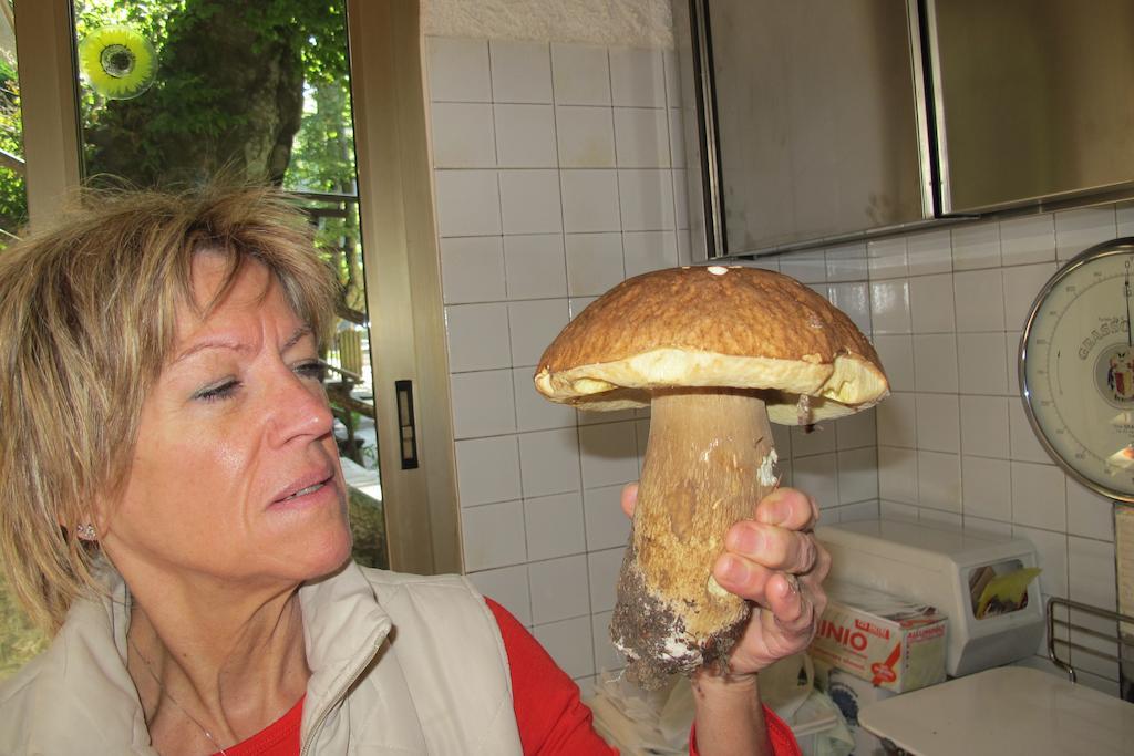 Albergo Ristorante Montecucco Da Tobia Sigillo Eksteriør bilde