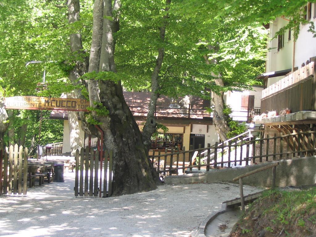 Albergo Ristorante Montecucco Da Tobia Sigillo Eksteriør bilde